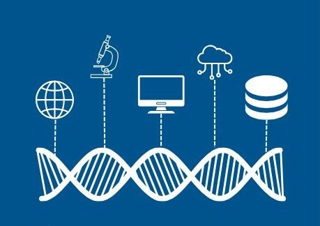 Introduction to Bioinformatics
